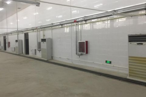 展示区